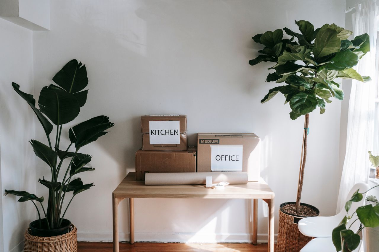 Elegantno uređen interijer s kutijama za selidbu označenima Kitchen i Office na drvenom stolu, okružen sobnim biljkama.